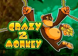 Crazy Monkey 2